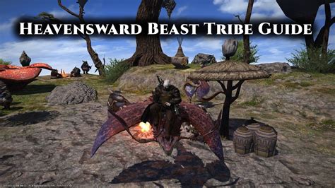 beast tribe guide.